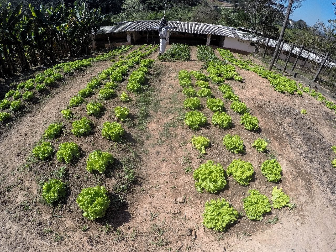 WhatsApp Image 2021-06-09 at 11.56.15