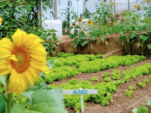 WhatsApp Image 2021-06-09 at 11.57.08 (1)