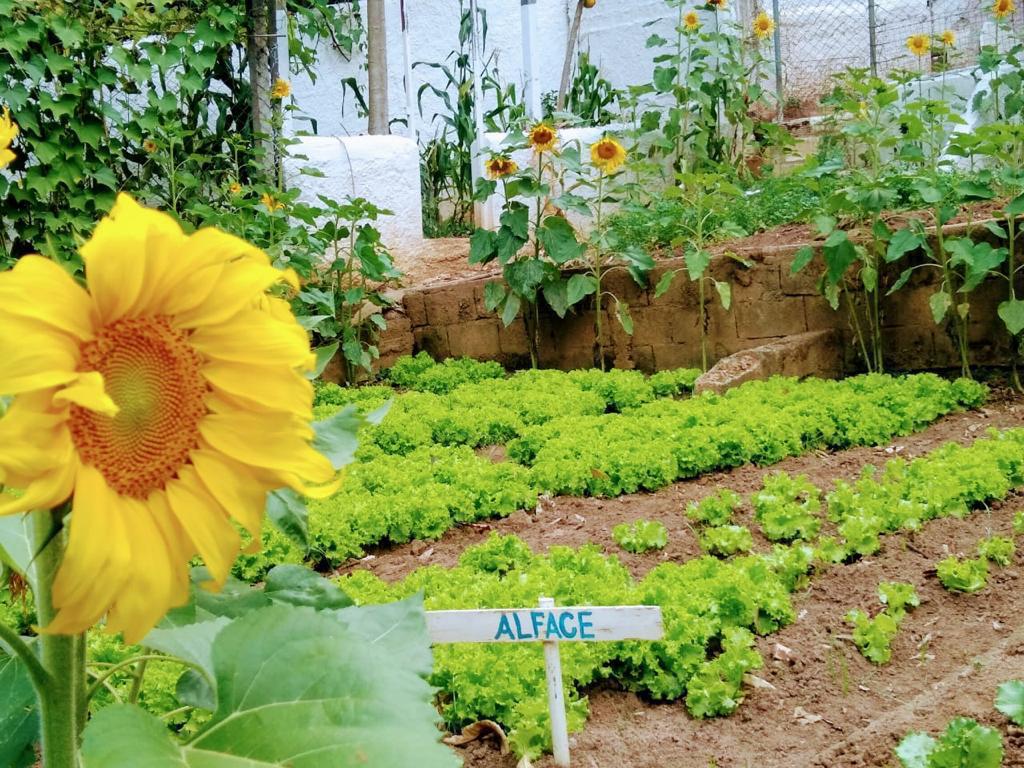 WhatsApp Image 2021-06-09 at 11.57.08 (1)