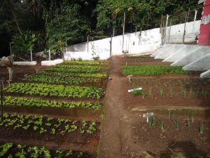 WhatsApp Image 2021-06-09 at 11.57.11 (2)