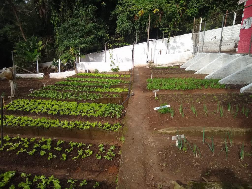 WhatsApp Image 2021-06-09 at 11.57.11 (2)